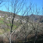 DSCN8036