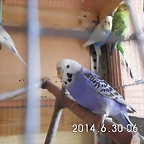 CIMG0477
