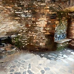 DSCN9163