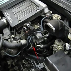 EGR1