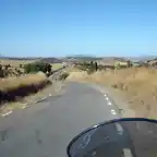 vacas y motos