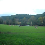 DSCN5380