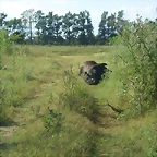 PC291076 [Desktop Resolution]
