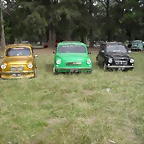SDC11009