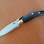 SAM_0768