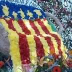 Senyera Flower.