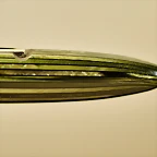DSCF5449