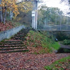 DSCN8982