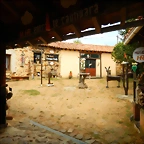 DSCN6867