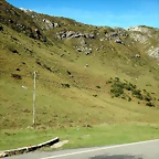 DSCN6335