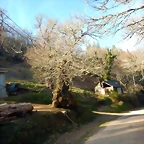 DSCN4017