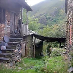 Pia Paxaro 120