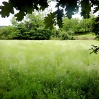 DSCN4588