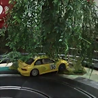 SNC00594 (Small)