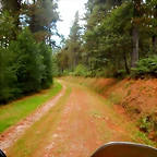 DSCN6676