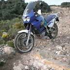 PICT0123
