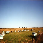 img130