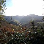 DSCN8398