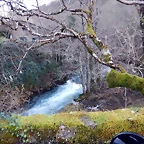DSCN3332