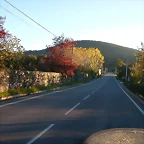 DSCN6516