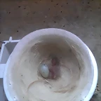 IMAG0435