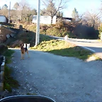 DSCN2624
