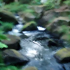 P1010195