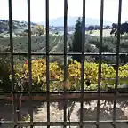 010, desde la ventana