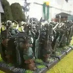 guerreros nurgle (3)