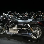 373252_7447_big_MTF_06372