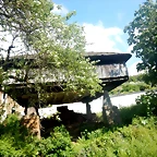 DSCN6202