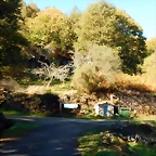DSCN0985