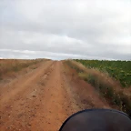 DSCN6471