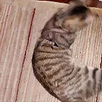 20180222_193359