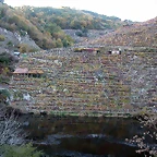 DSCN6468