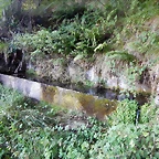 DSCN0059