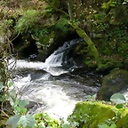 DSCN5752