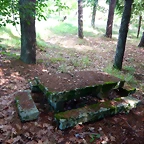 DSCN6356
