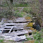 DSCN2221