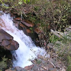DSCN2178