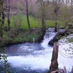 DSCN2228