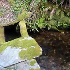 DSCN2229