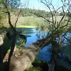 LAGUNA DE LOS PADRES EN FAMILIA