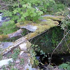 DSCN2224