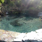 DSCN2084