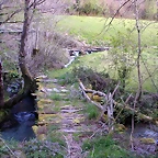 DSCN2219