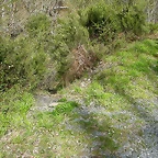 DSCN2072