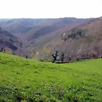 DSCN2086
