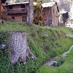 DSCN2125