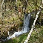 DSCN2074